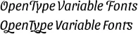 The phrase 'OpenType Variable Fonts' shown twice: plain, then with swash flourishes enabled.