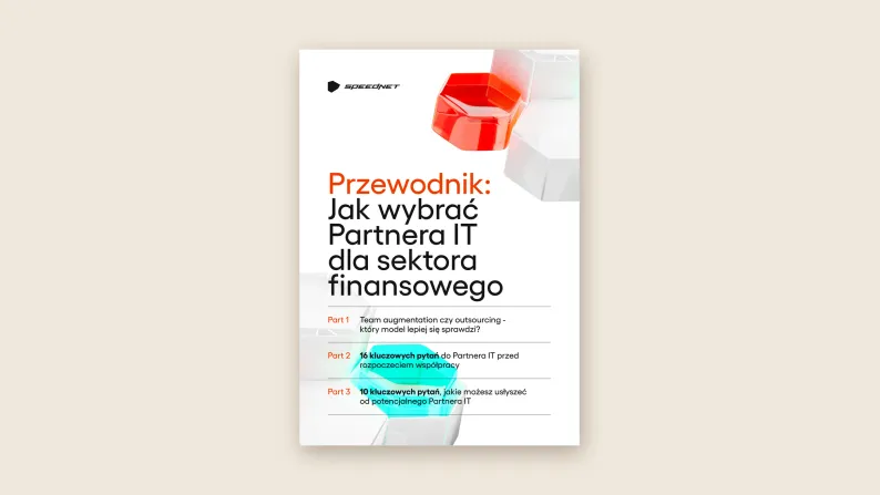 Okładka raportu: Jak wybrać Partnera IT