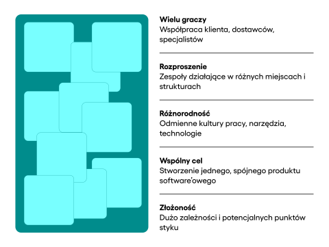 Zespoły patchforkowe cechy